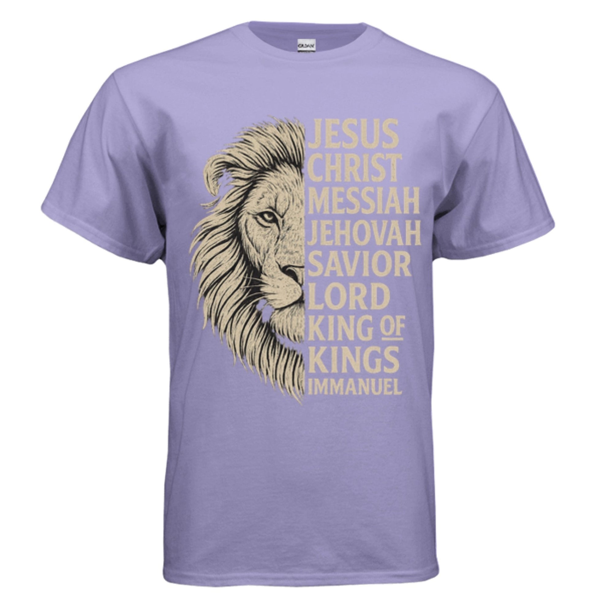 Names of God Men Tees | Affirmation | Christian |Faith | Sovereignty | Judah - FAVOR OF GOD CLOTHING