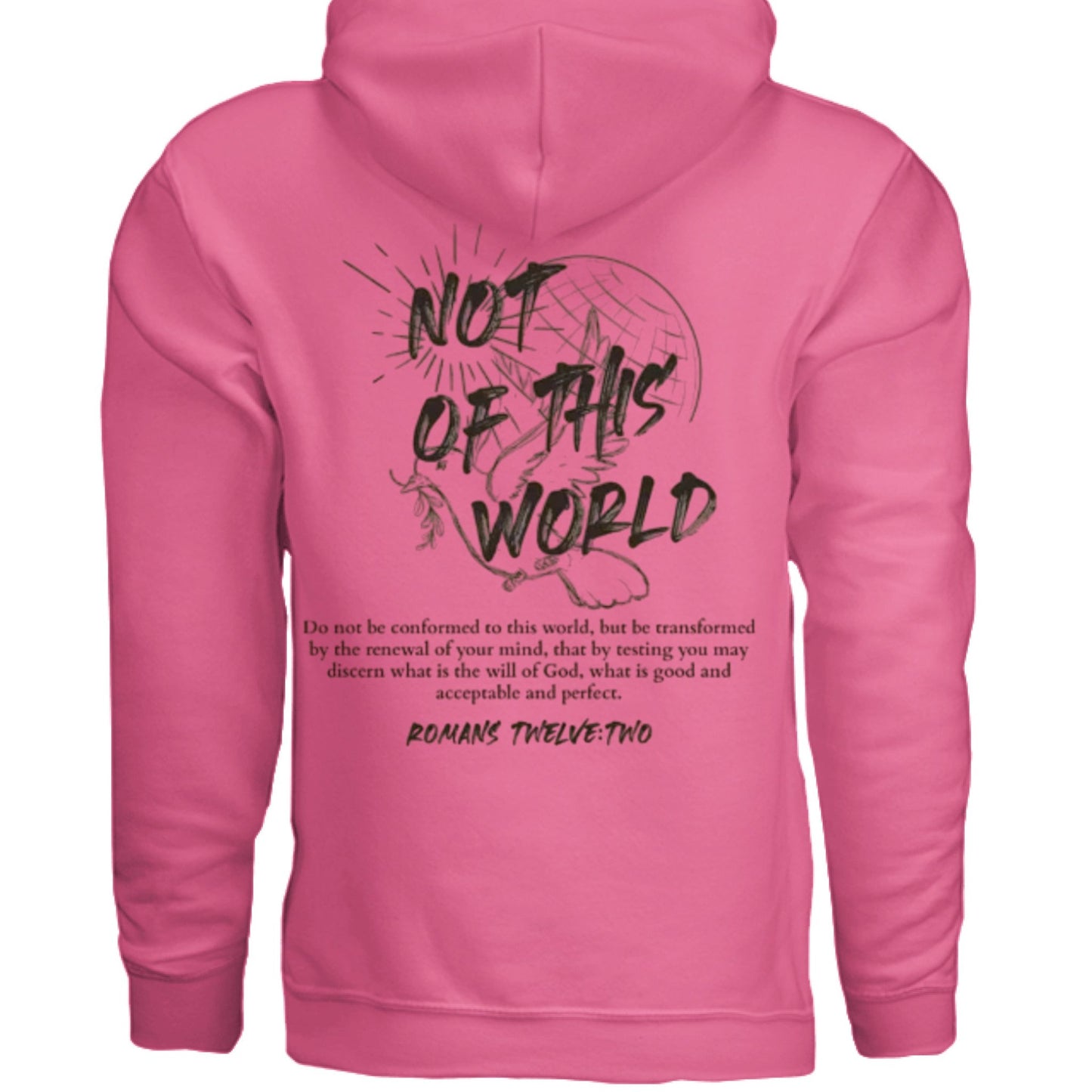 Not of This World Bible Verse Unisex Hoodie Back Print Streetwear Tops Jesus Faith Graphic Tees Unisex Christian Clothing Gifts - FAVOR OF GOD CLOTHING
