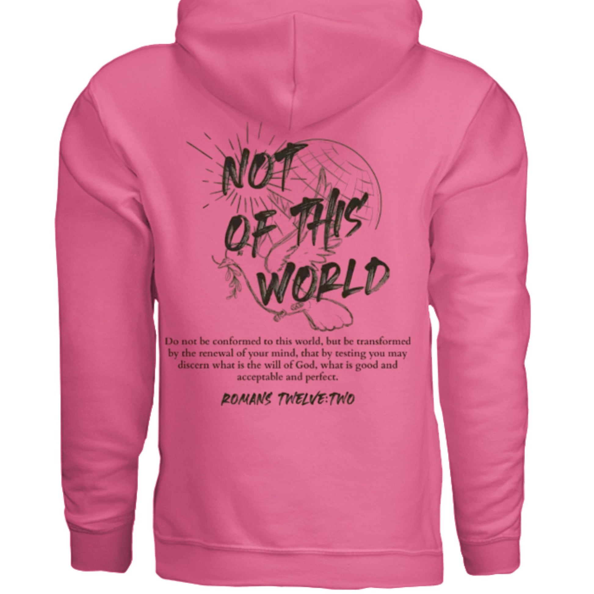 Not of This World Bible Verse Unisex Hoodie Back Print Streetwear Tops Jesus Faith Graphic Tees Unisex Christian Clothing Gifts - FAVOR OF GOD CLOTHING