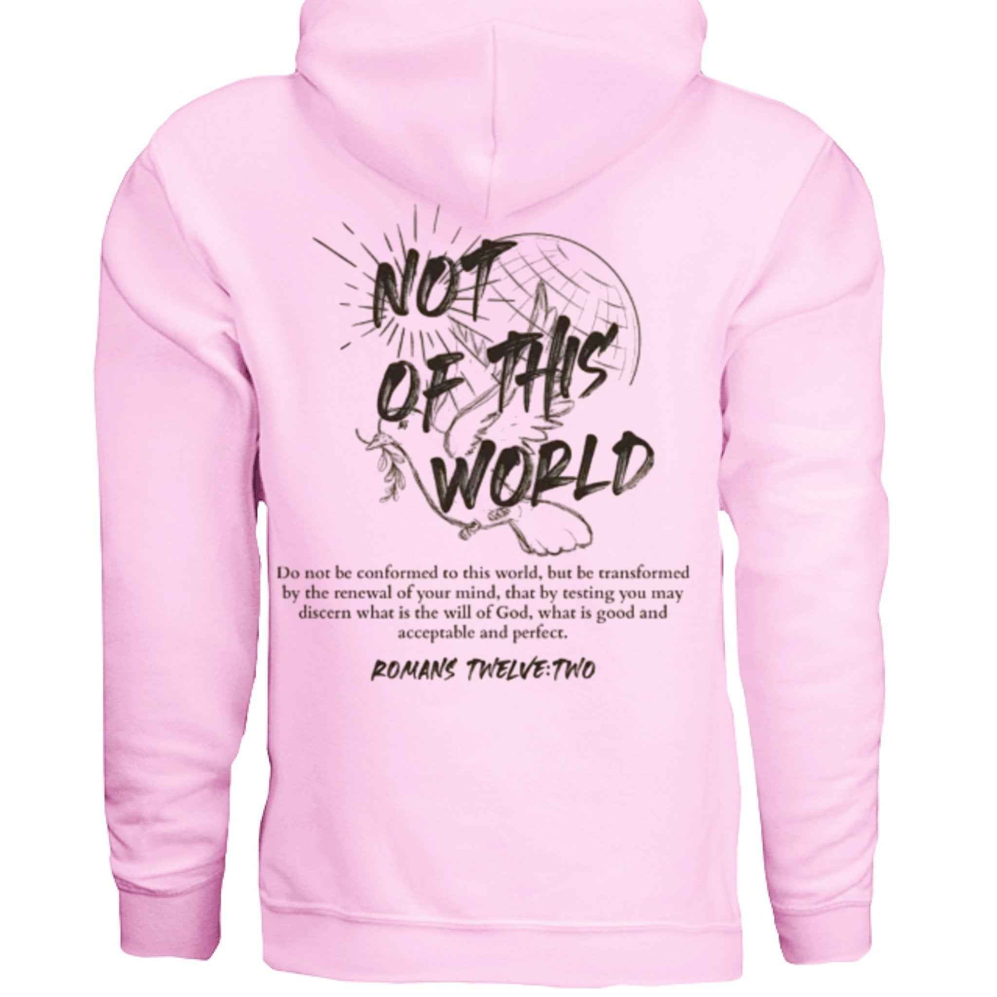 Not of This World Bible Verse Unisex Hoodie Back Print Jesus, Faith, Christian