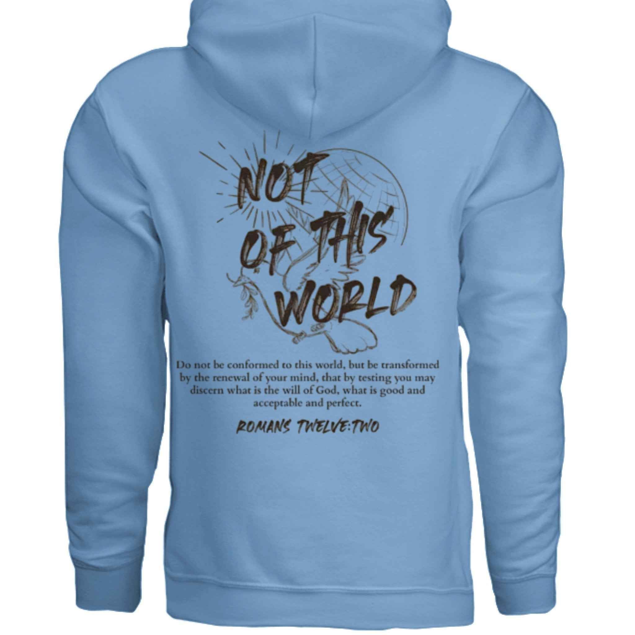 Not of This World Bible Verse Unisex Hoodie Back Print Jesus, Faith, Christian