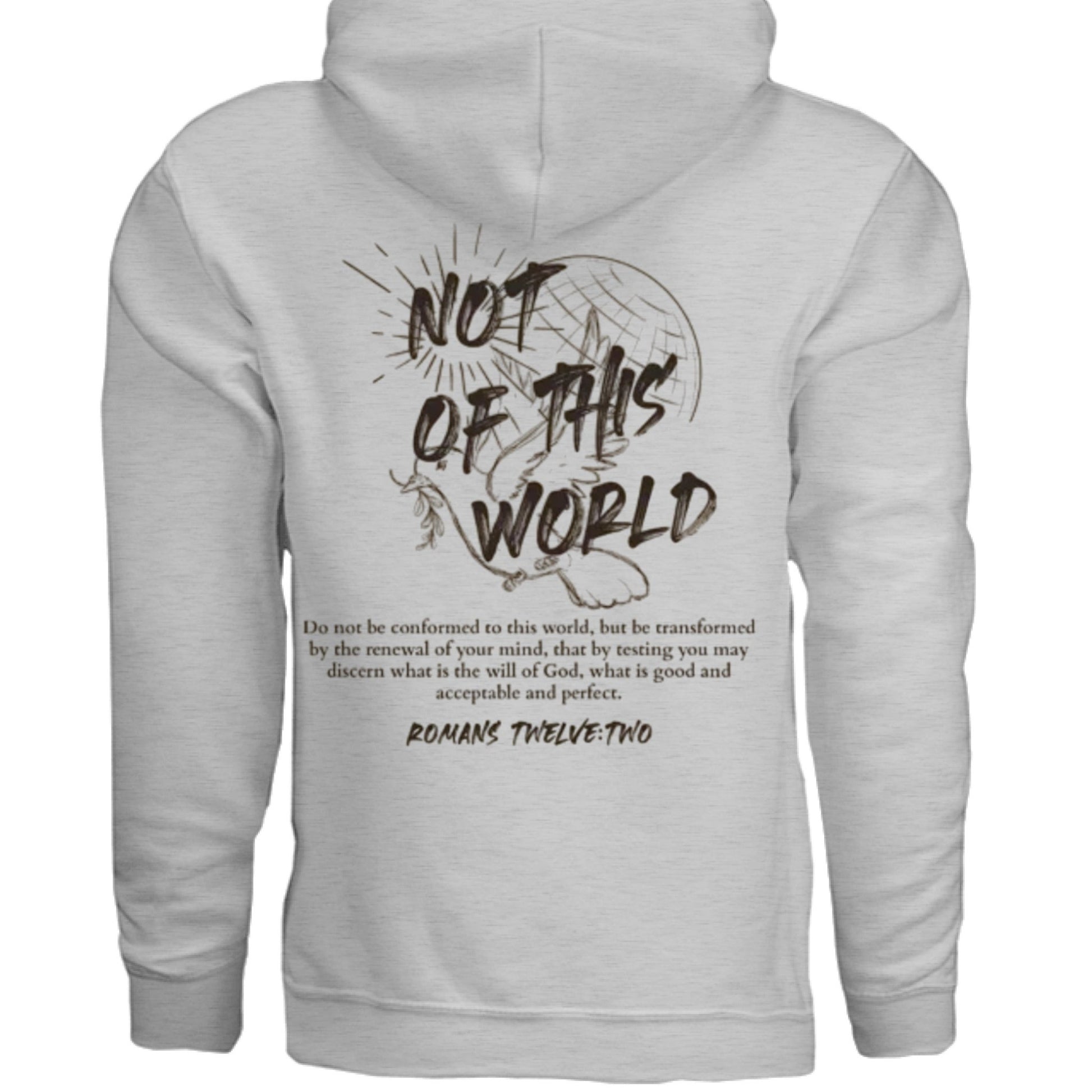 Not of This World Bible Verse Unisex Hoodie Back Print Streetwear Tops Jesus Faith Graphic Tees Unisex Christian Clothing Gifts - FAVOR OF GOD CLOTHING