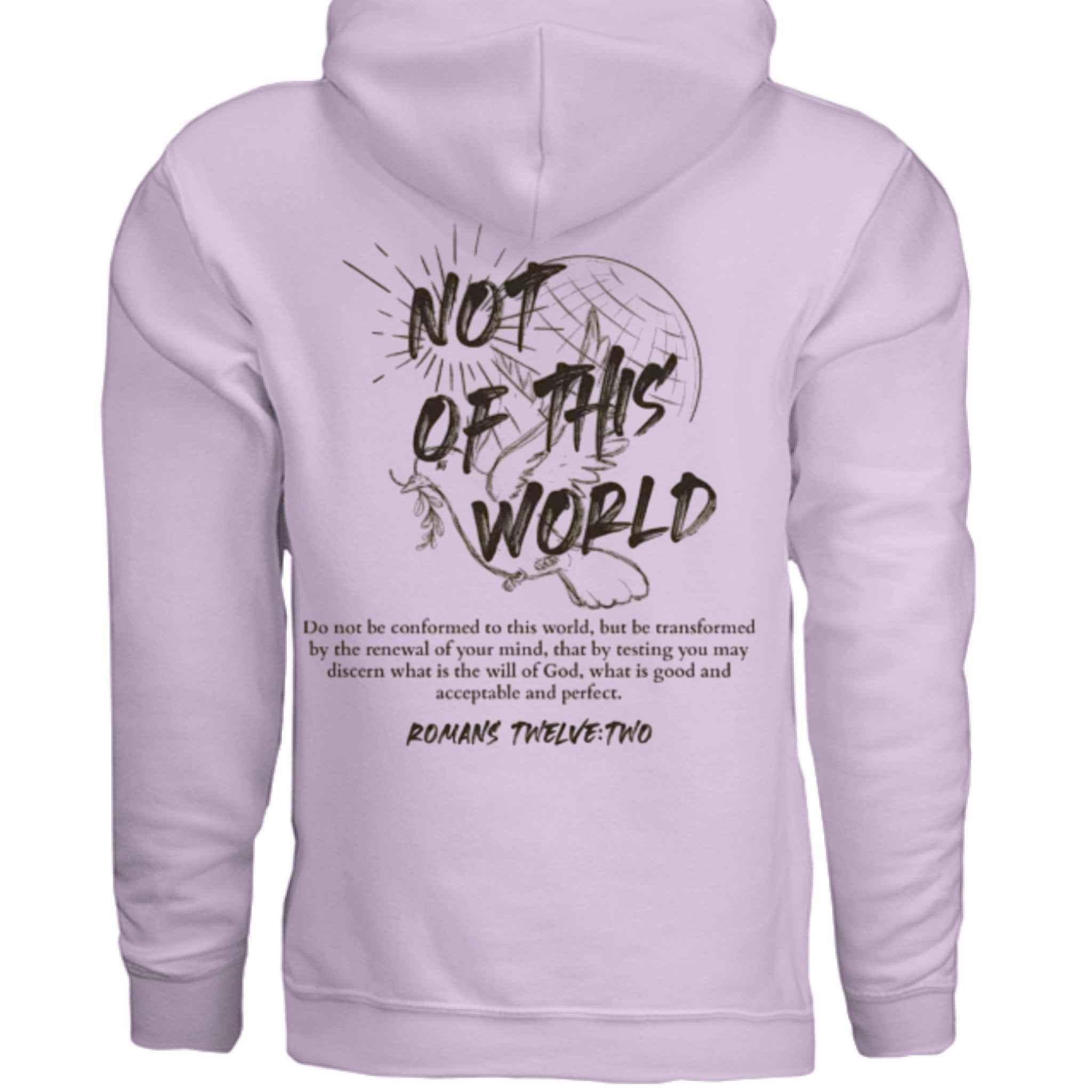 Not of This World Bible Verse Unisex Hoodie Back Print Jesus, Faith, Christian
