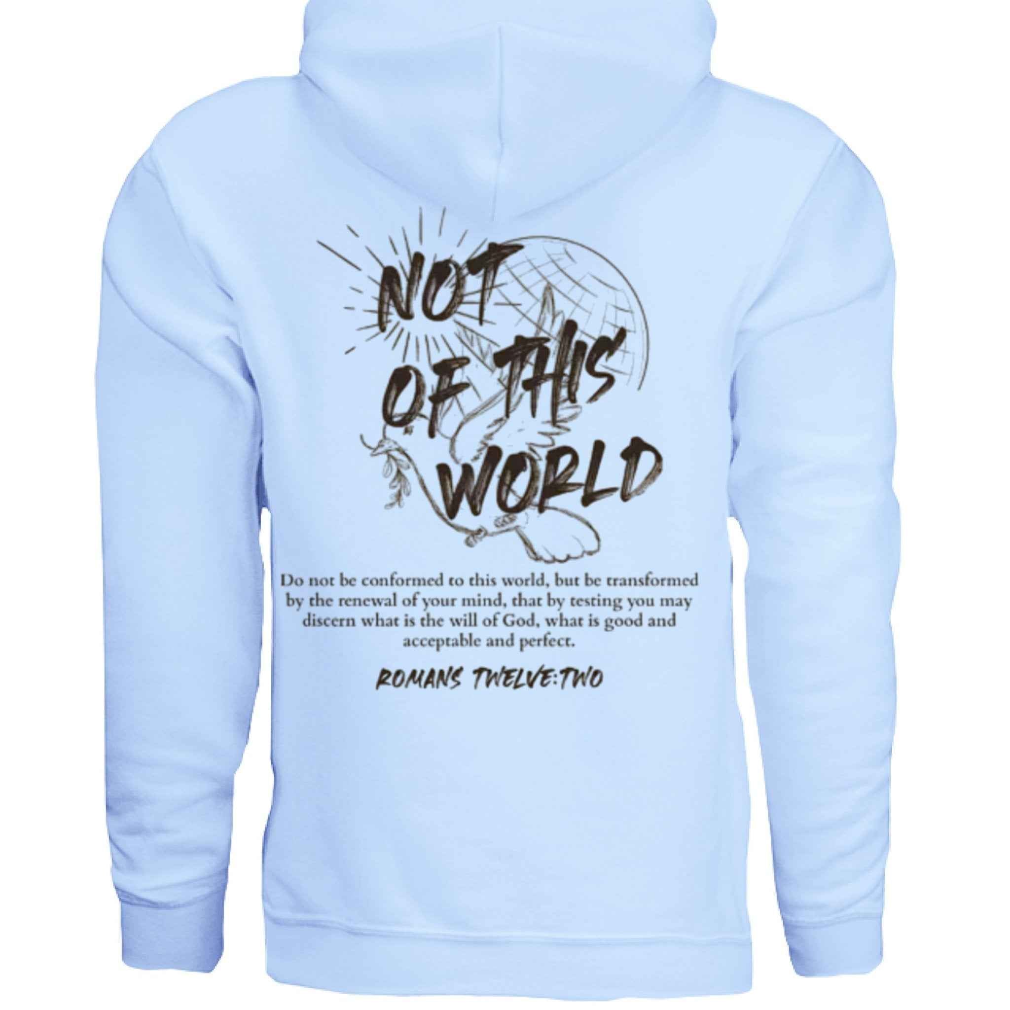 Not of This World Bible Verse Unisex Hoodie Back Print Jesus, Faith, Christian