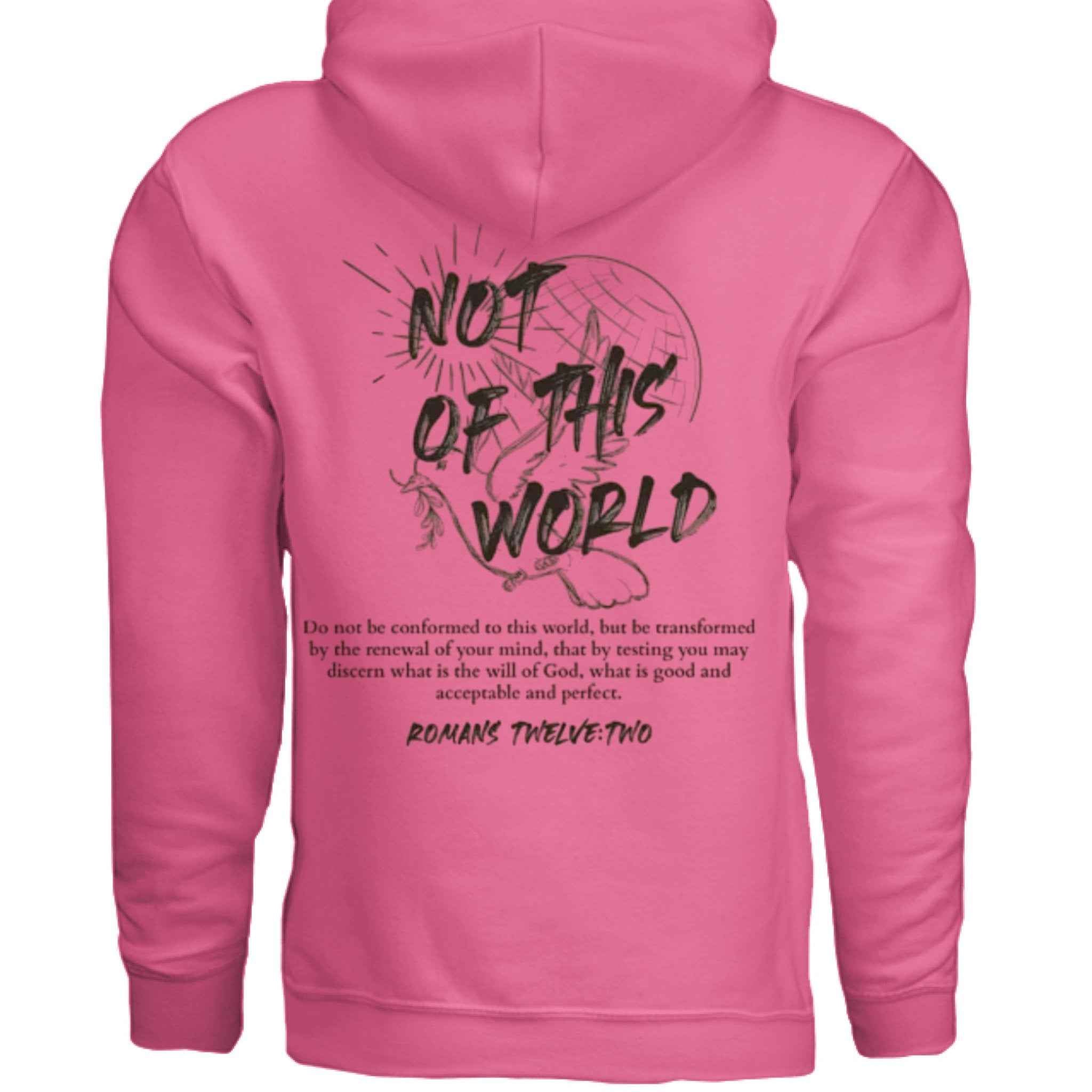 Not of This World Bible Verse Unisex Hoodie Back Print  Jesus, Faith, Christian