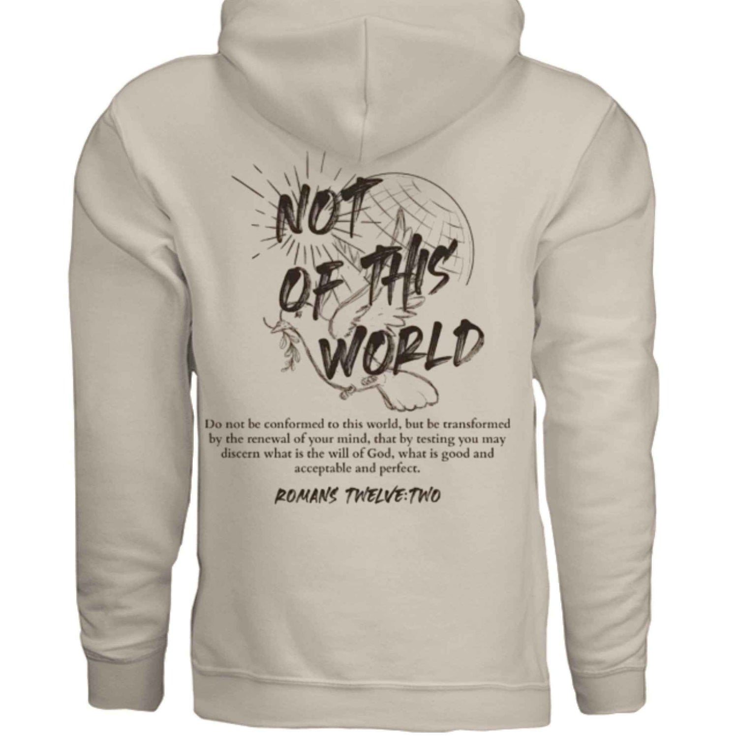 Not of This World Bible Verse Unisex Hoodie Back Print  Jesus, Faith, Christian