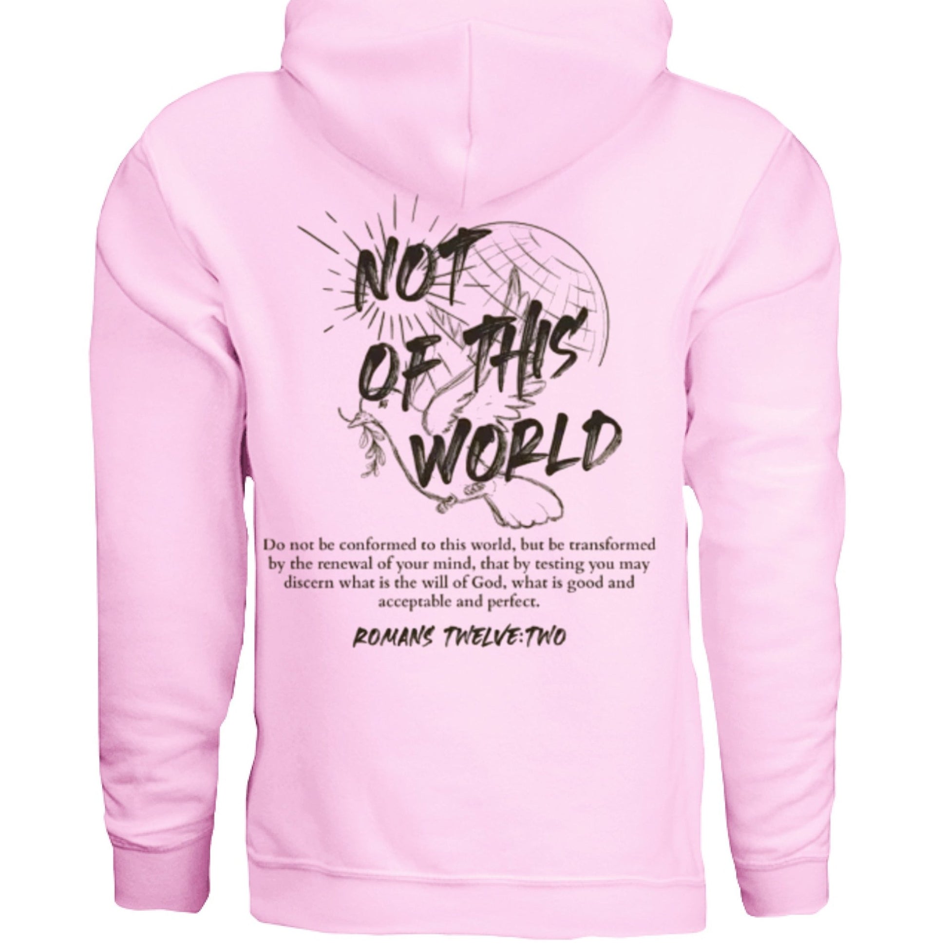 Not of This World Bible Verse Unisex Hoodie Back Print Streetwear Tops Jesus Faith Graphic Tees Unisex Christian Clothing Gifts - FAVOR OF GOD CLOTHING