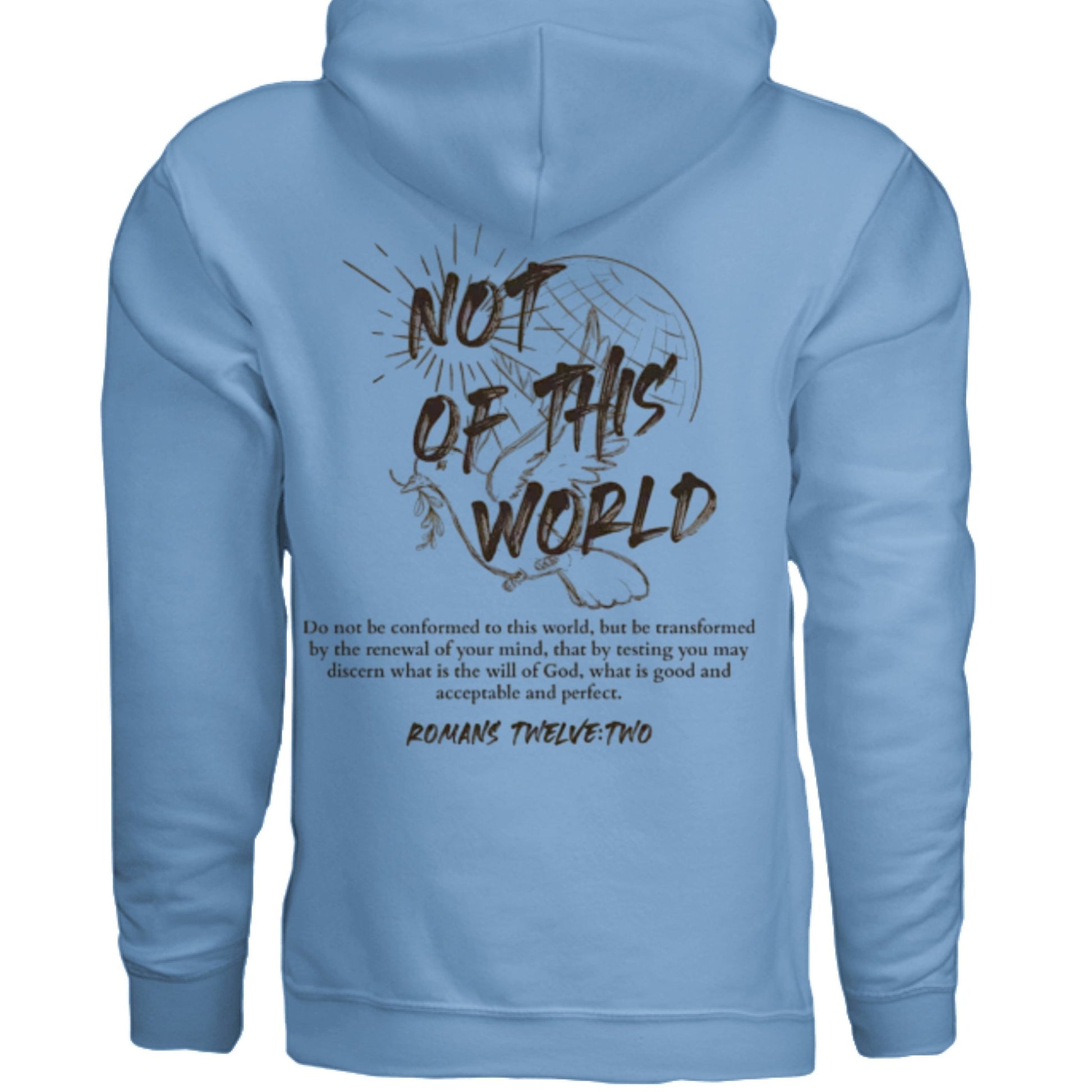 Not of This World Bible Verse Unisex Hoodie Back Print Streetwear Tops Jesus Faith Graphic Tees Unisex Christian Clothing Gifts - FAVOR OF GOD CLOTHING