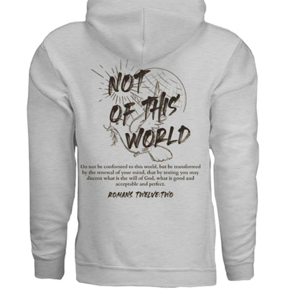 Not of This World Bible Verse Unisex Hoodie Back Print Streetwear Tops Jesus Faith Graphic Tees Unisex Christian Clothing Gifts - FAVOR OF GOD CLOTHING