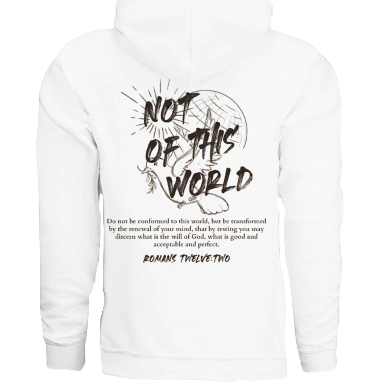 Not of This World Bible Verse Unisex Hoodie Back Print  Jesus, Faith, Christian