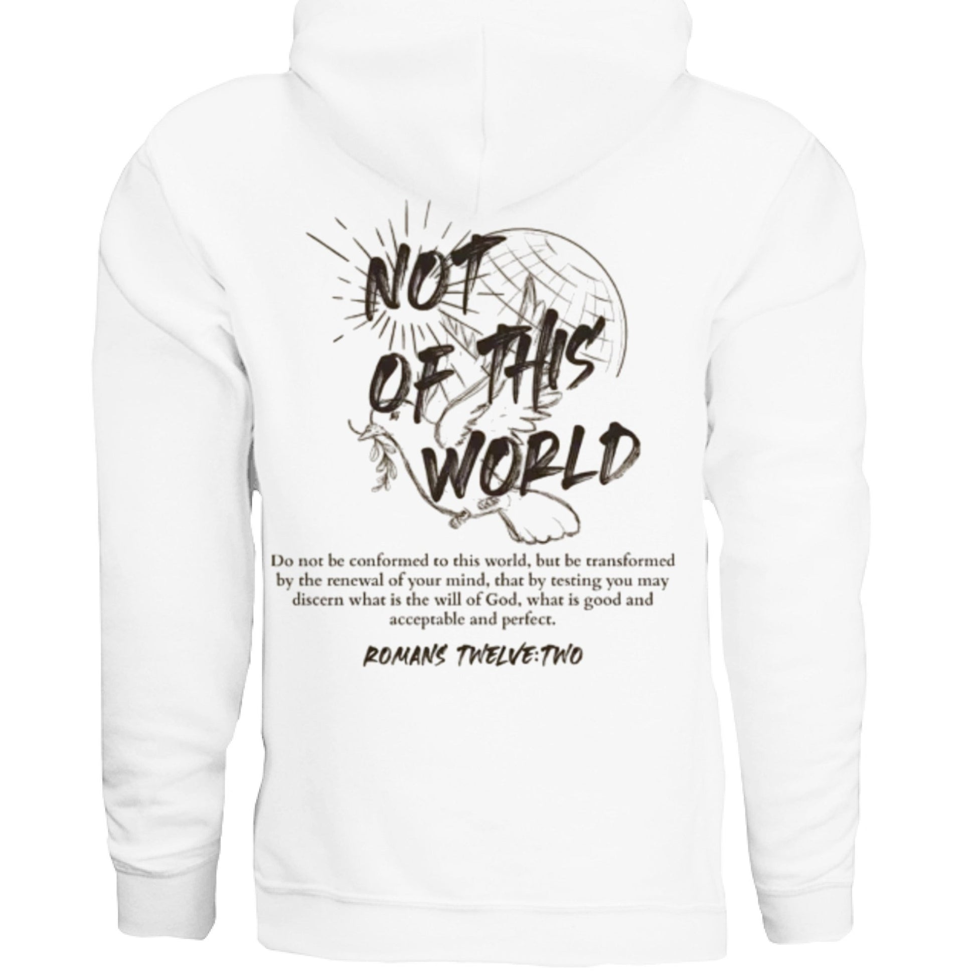 Not of This World Bible Verse Unisex Hoodie Back Print Streetwear Tops Jesus Faith Graphic Tees Unisex Christian Clothing Gifts - FAVOR OF GOD CLOTHING