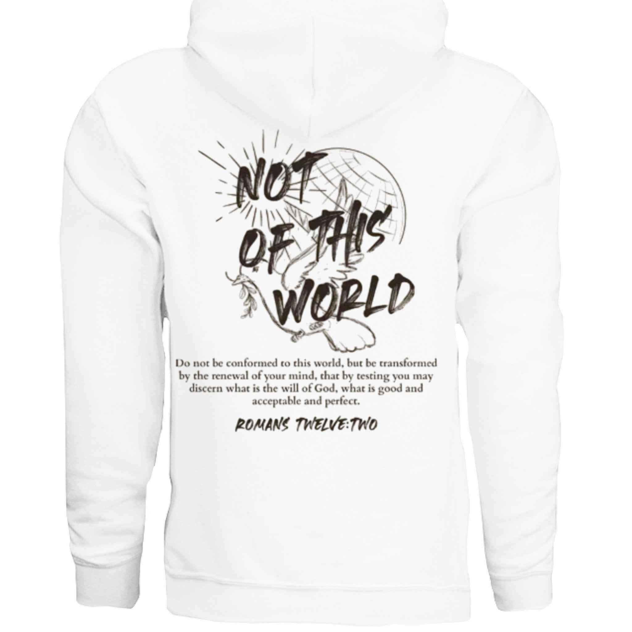 Not of This World Bible Verse Unisex Hoodie Back Print  Jesus, Faith, Christian