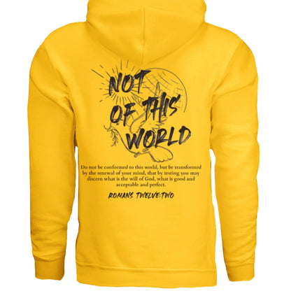 Not of This World Bible Verse Unisex Hoodie Back Print Streetwear Tops Jesus Faith Graphic Tees Unisex Christian Clothing Gifts - FAVOR OF GOD CLOTHING