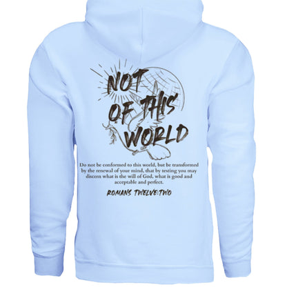 Not of This World Bible Verse Unisex Hoodie Back Print Streetwear Tops Jesus Faith Graphic Tees Unisex Christian Clothing Gifts - FAVOR OF GOD CLOTHING